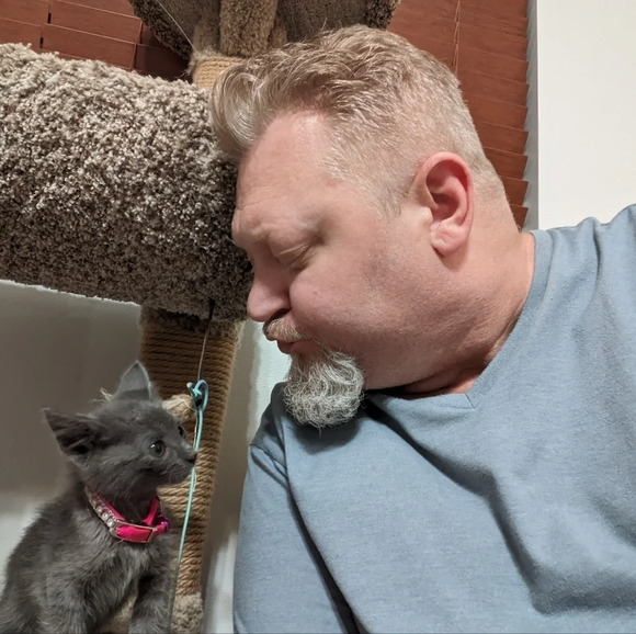 Wooden hand carved cat figurine, yawning, kitty cat, ginger orange feline - Picture 6 of 7